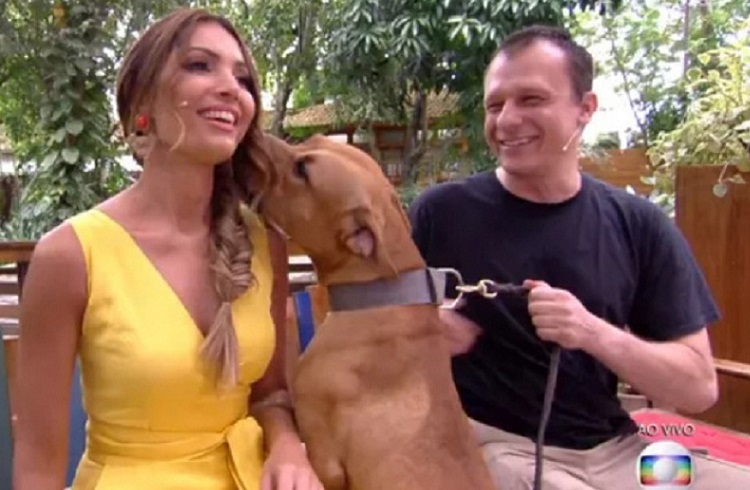 Patrícia Poeta rejeita fazer carinho em pitbull e é criticada na internet